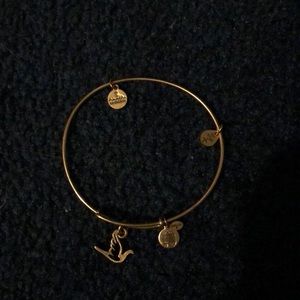 Dove Alex and ani